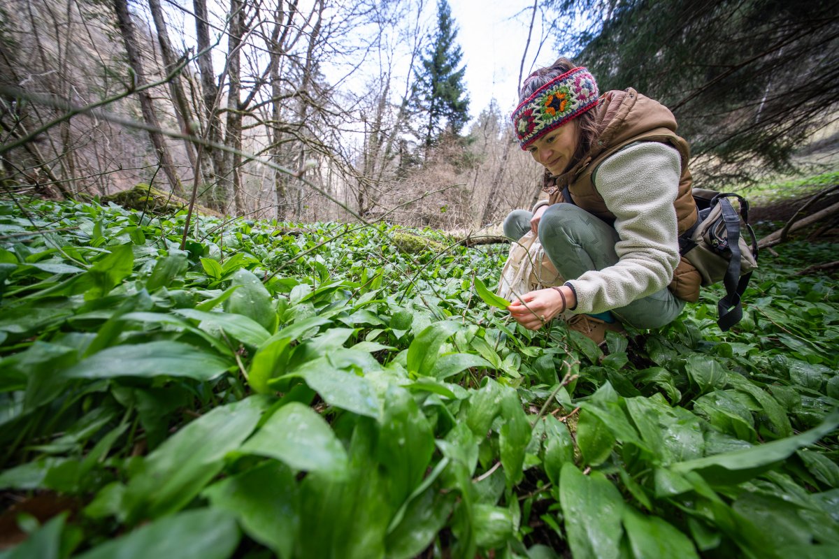 Rituel: Le vivant et tous tes sens